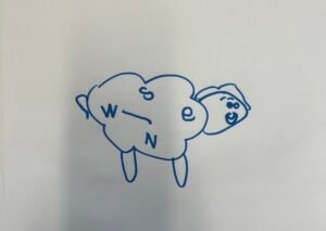 Excited sheep compass